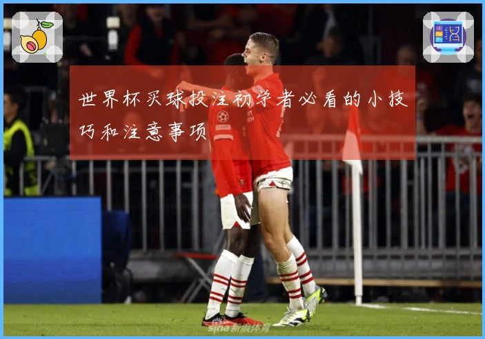 世界杯买球投注初学者必看的小技巧和注意事项