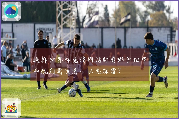 选择世界杯竞猜网站时有哪些细节和规则需注意，以免踩雷？