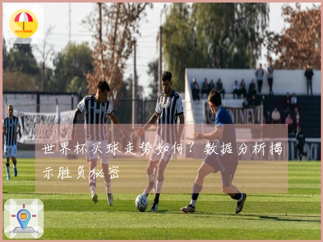世界杯买球走势如何?数据分析揭示胜负秘密