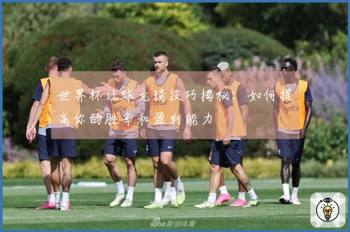 世界杯让球竞猜技巧揭秘：如何提高你的胜率和盈利能力