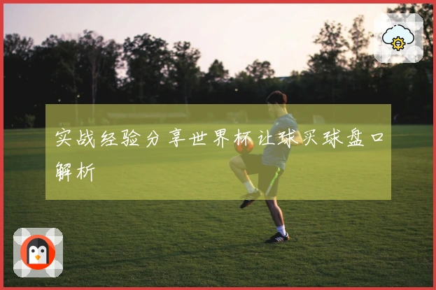 实战经验分享世界杯让球买球盘口解析