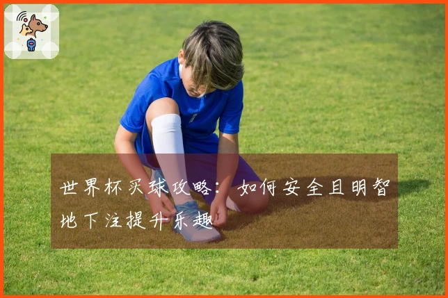 世界杯买球攻略：如何安全且明智地下注提升乐趣