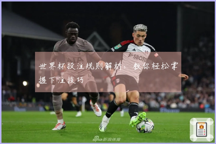 世界杯投注规则解析，教你轻松掌握下注技巧