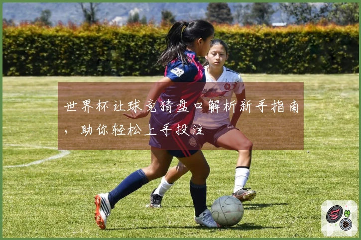世界杯让球竞猜盘口解析新手指南，助你轻松上手投注