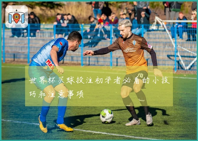 世界杯买球投注初学者必看的小技巧和注意事项