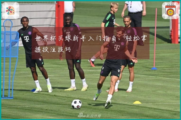 世界杯买球新手入门指南，轻松掌握投注技巧