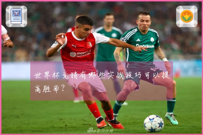 世界杯竞猜有哪些实战技巧可以提高胜率?