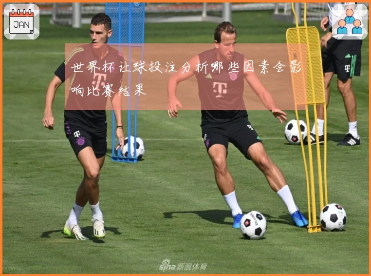 世界杯让球投注分析哪些因素会影响比赛结果