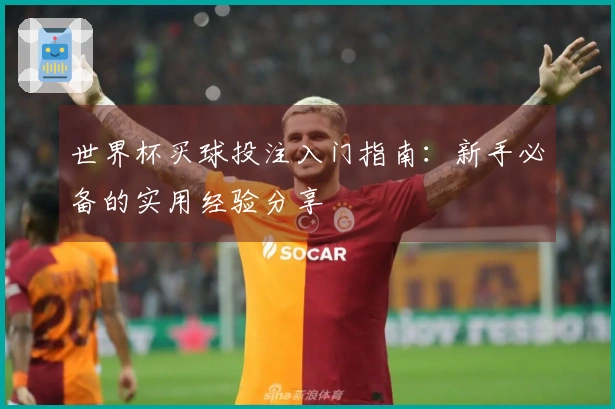 世界杯买球投注入门指南：新手必备的实用经验分享