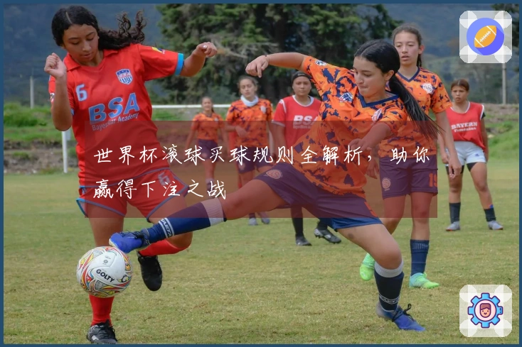 世界杯滚球买球规则全解析，助你赢得下注之战