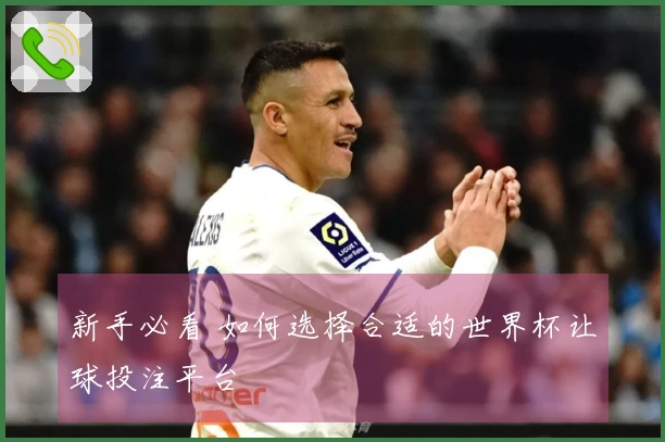 新手必看 如何选择合适的世界杯让球投注平台
