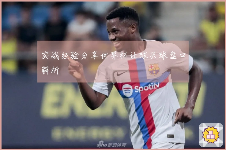 实战经验分享世界杯让球买球盘口解析