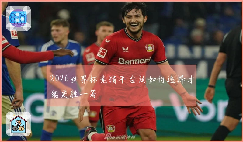 2026世界杯竞猜平台该如何选择才能更胜一筹