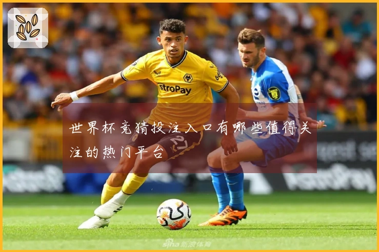 世界杯竞猜投注入口有哪些值得关注的热门平台