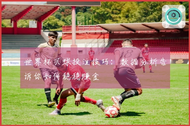 世界杯买球投注技巧：数据分析告诉你如何稳稳赚金