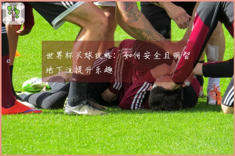 世界杯买球攻略：如何安全且明智地下注提升乐趣